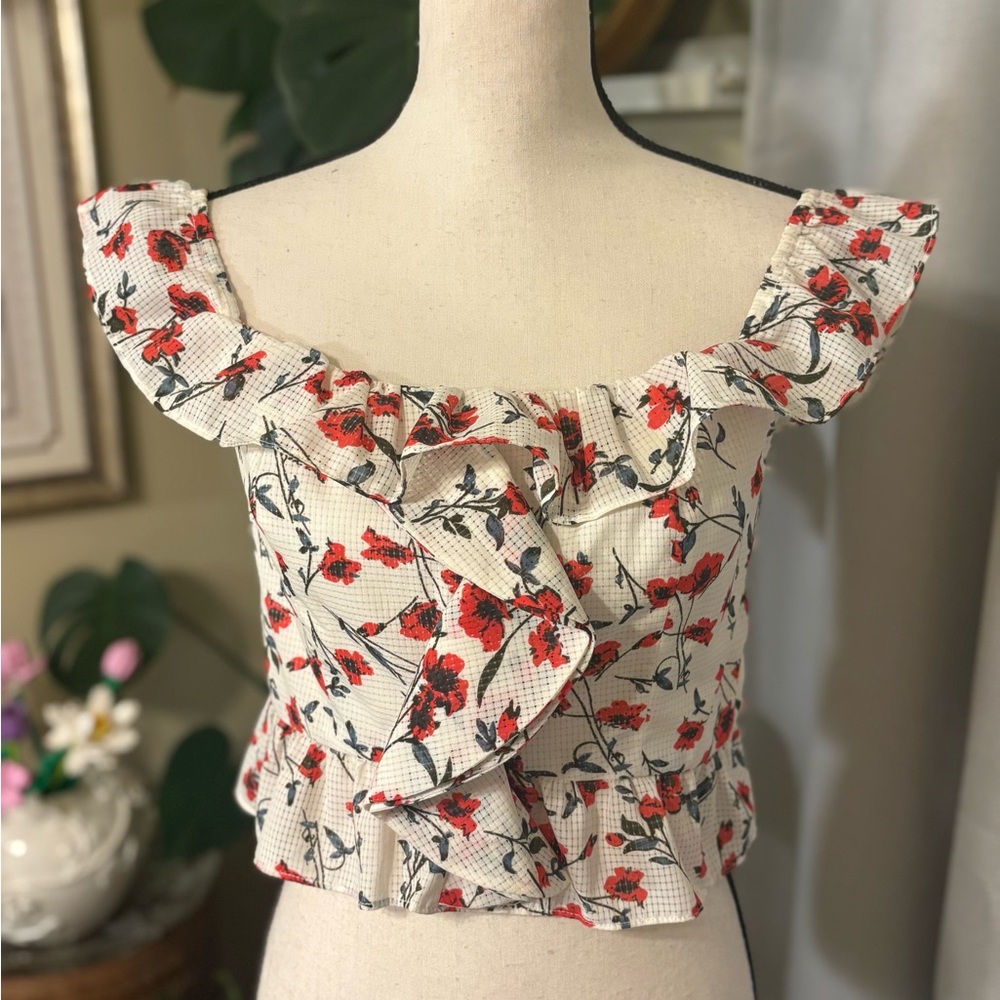 Tularosa Floral Ruffle Blouse in Cream and Red - Picture 3 of 9